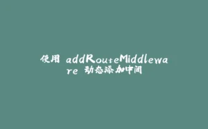 使用 addRouteMiddleware 动态添加中间-拾光赋