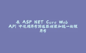 在 ASP.NET Core Web API 中使用异常筛选器捕获和统一处理异常-拾光赋