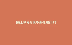 SQL中为什么不要使用1=1？-拾光赋