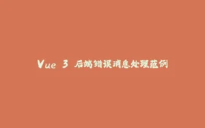 Vue 3 后端错误消息处理范例-拾光赋