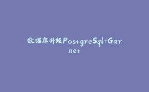 数据库升级PostgreSql+Garnet-拾光赋