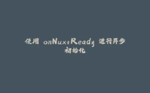 使用 onNuxtReady 进行异步初始化-拾光赋