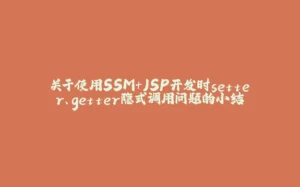 关于使用SSM+JSP开发时setter、getter隐式调用问题的小结-拾光赋