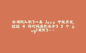 公司刚入职了一名 Java 中级开发,短短 4 行代码居然凑齐了 3 个 bug!我哭了~~-拾光赋
