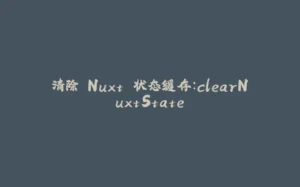 清除 Nuxt 状态缓存：clearNuxtState-拾光赋