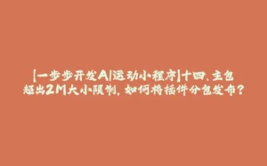 【一步步开发AI运动小程序】十四、主包超出2M大小限制,如何将插件分包发布?-拾光赋