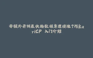 零额外开销最快的数据库连接池？HikariCP 入门介绍-拾光赋