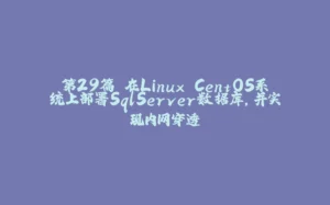 第29篇 在Linux CentOS系统上部署SqlServer数据库，并实现内网穿透-拾光赋