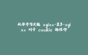 从零手写实现 nginx-23-nginx 对于 cookie 的操作-拾光赋