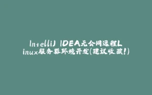 IntelliJ IDEA无公网远程Linux服务器环境开发(建议收藏!)-拾光赋
