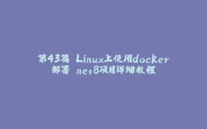 第43篇 Linux上使用docker部署.net8项目详细教程-拾光赋