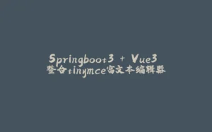Springboot3 + Vue3 整合tinymce富文本编辑器-拾光赋