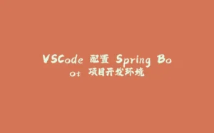 VSCode 配置 Spring Boot 项目开发环境-拾光赋