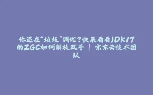 你还在“垃圾”调优?快来看看JDK17的ZGC如何解放双手 | 京东云技术团队-拾光赋