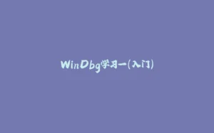 WinDbg学习一（入门）-拾光赋