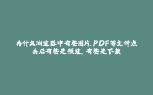 为什么浏览器中有些图片、PDF等文件点击后有些是预览，有些是下载-拾光赋