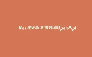 .Net接口版本管理与OpenApi-拾光赋