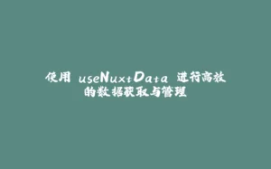 使用 useNuxtData 进行高效的数据获取与管理-拾光赋