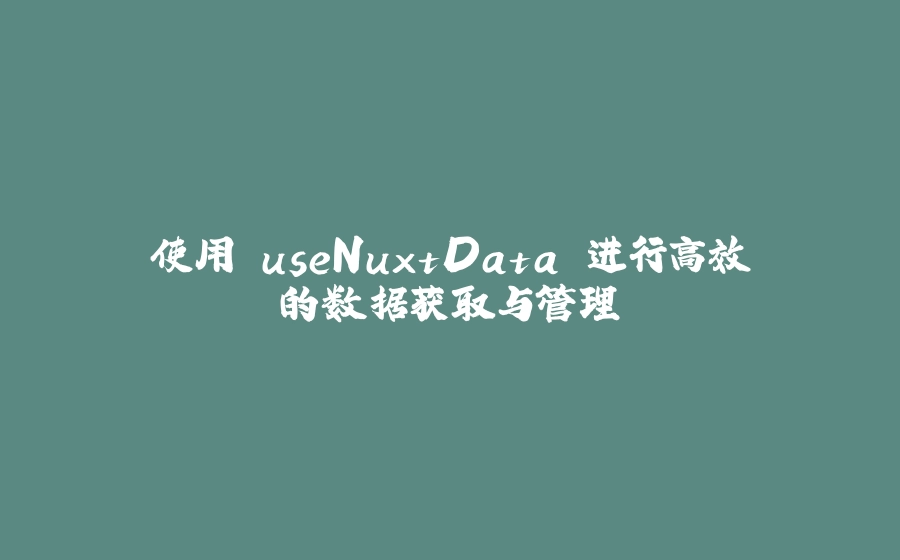 使用 useNuxtData 进行高效的数据获取与管理 - 拾光赋-拾光赋