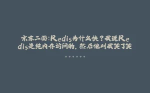 京东二面：Redis为什么快？我说Redis是纯内存访问的，然后他对我笑了笑。。。。。。-拾光赋
