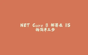 .NET Core 8 部署在 IIS 的简单三步-拾光赋