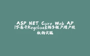 ASP.NET Core Web API下基于Keycloak的多租户用户授权的实现-拾光赋