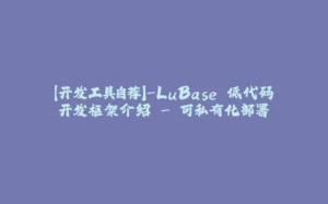 【开发工具自荐】-LuBase 低代码开发框架介绍 - 可私有化部署-拾光赋