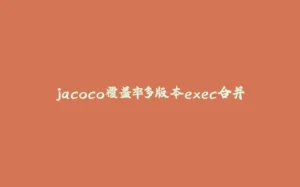 jacoco覆盖率多版本exec合并-拾光赋