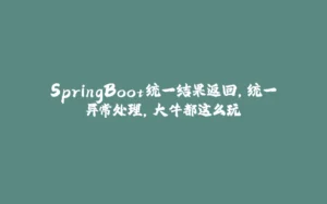 SpringBoot统一结果返回，统一异常处理，大牛都这么玩-拾光赋