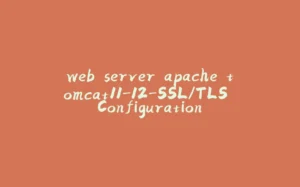 web server apache tomcat11-12-SSL/TLS Configuration-拾光赋
