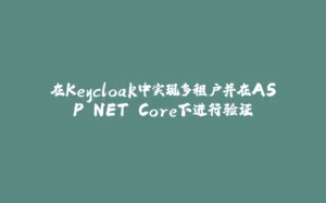 在Keycloak中实现多租户并在ASP.NET Core下进行验证-拾光赋