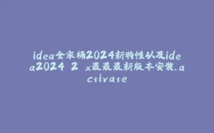 idea全家桶2024新特性以及idea2024.2.x最最最新版本安装、activate-拾光赋