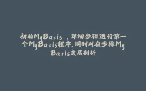 初始MyBatis ,详细步骤运行第一个MyBatis程序,同时对应步骤MyBatis底层剖析-拾光赋