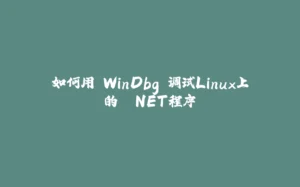 如何用 WinDbg 调试Linux上的 .NET程序-拾光赋