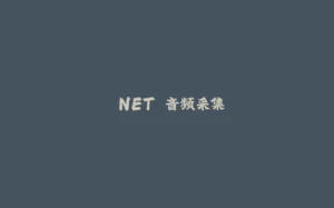 .NET 音频采集-拾光赋