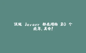 顶级 Javaer 都在用的 20 个类库，真香！-拾光赋