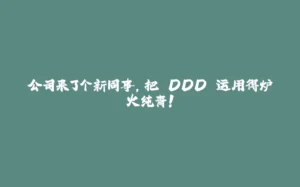 公司来了个新同事,把 DDD 运用得炉火纯青!-拾光赋