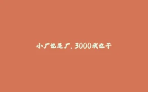 小厂也是厂，3000我也干-拾光赋
