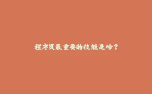程序员最重要的技能是啥?-拾光赋
