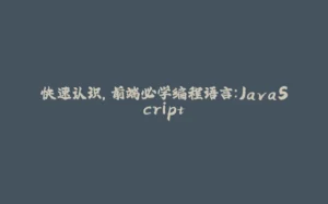 快速认识，前端必学编程语言：JavaScript-拾光赋