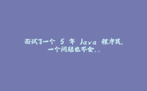 面试了一个 5 年 Java 程序员，一个问题也不会。。-拾光赋