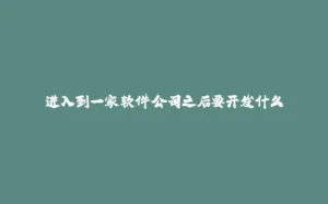 进入到一家软件公司之后要开发什么-拾光赋