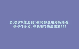 2023年度总结：我们都在用力的活着，拼尽了全力，却换回了伤痕累累！！！-拾光赋