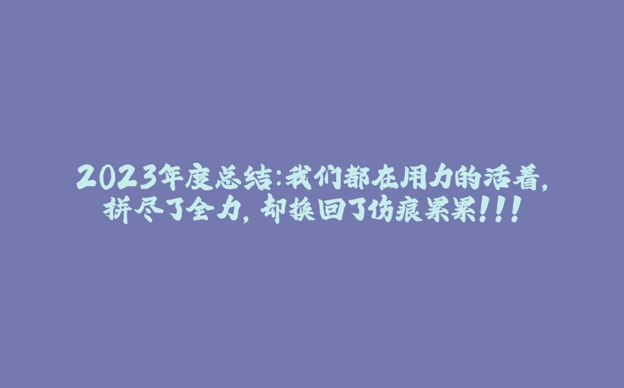 2023年度总结：我们都在用力的活着，拼尽了全力，却换回了伤痕累累！！！ - 拾光赋-拾光赋