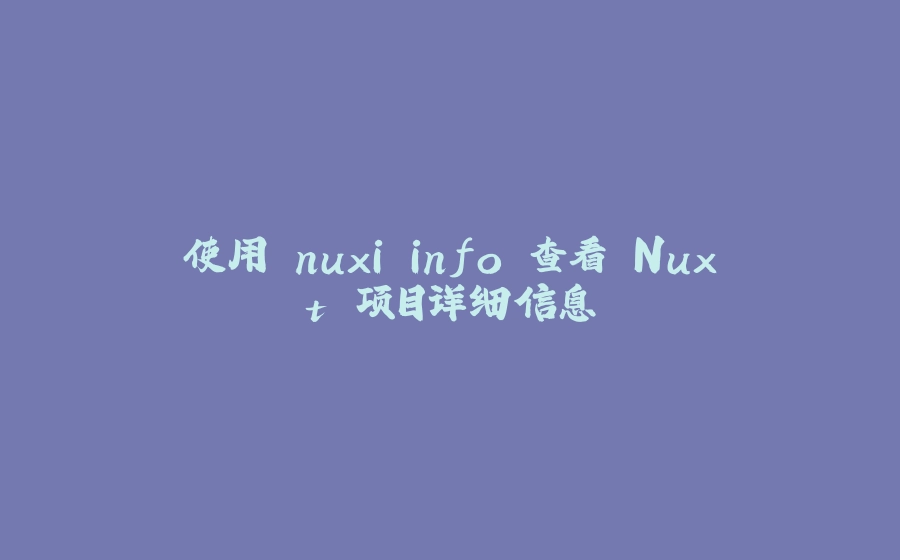 使用 nuxi info 查看 Nuxt 项目详细信息 - 拾光赋-拾光赋