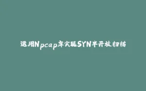 运用Npcap库实现SYN半开放扫描-拾光赋