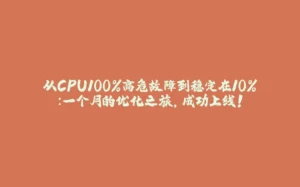 从CPU100%高危故障到稳定在10%：一个月的优化之旅，成功上线！-拾光赋