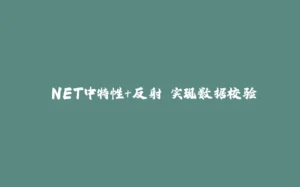 .NET中特性＋反射 实现数据校验-拾光赋