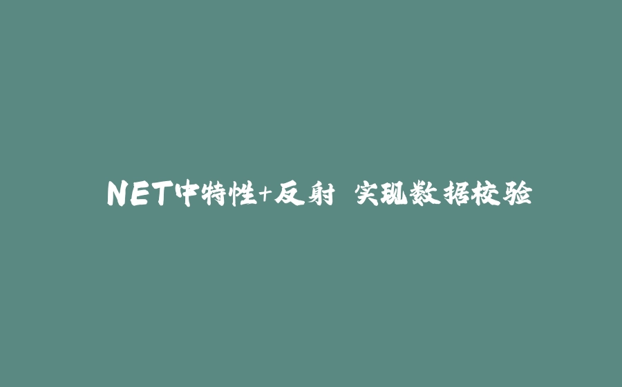 .NET中特性＋反射 实现数据校验 - 拾光赋-拾光赋