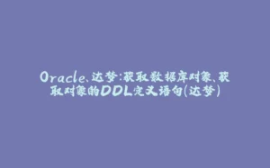 Oracle、达梦：获取数据库对象、获取对象的DDL定义语句(达梦)-拾光赋